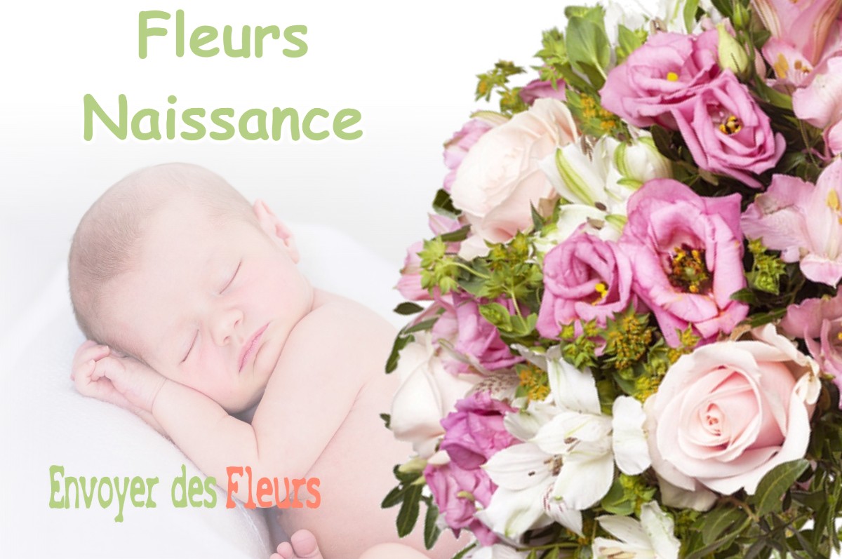 lIVRAISON FLEURS NAISSANCE à APREMONT-LA-FORET